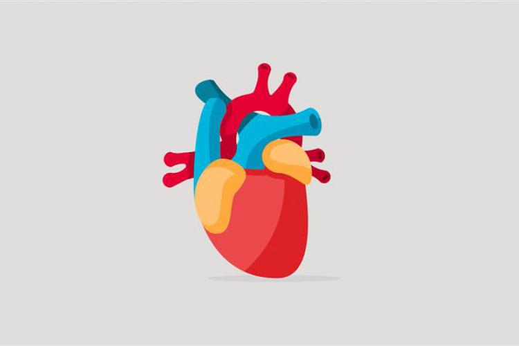 Heart, Health, and Hope, Congestive Heart Failure